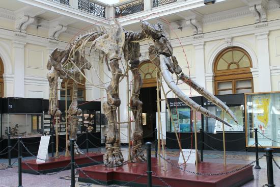 Giacomo Doria Museum of Natural History